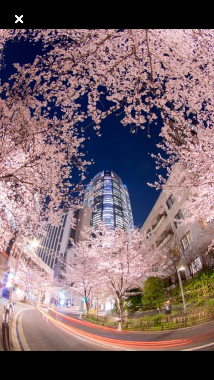 Forecity Kinshicho Apartamento *